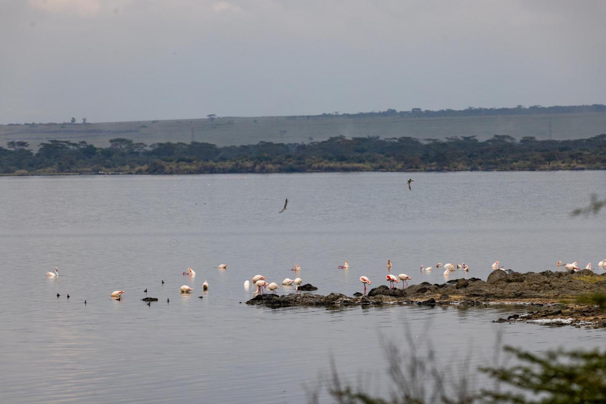 Sentrim Elementaita Lodge Elmenteita 외부 사진
