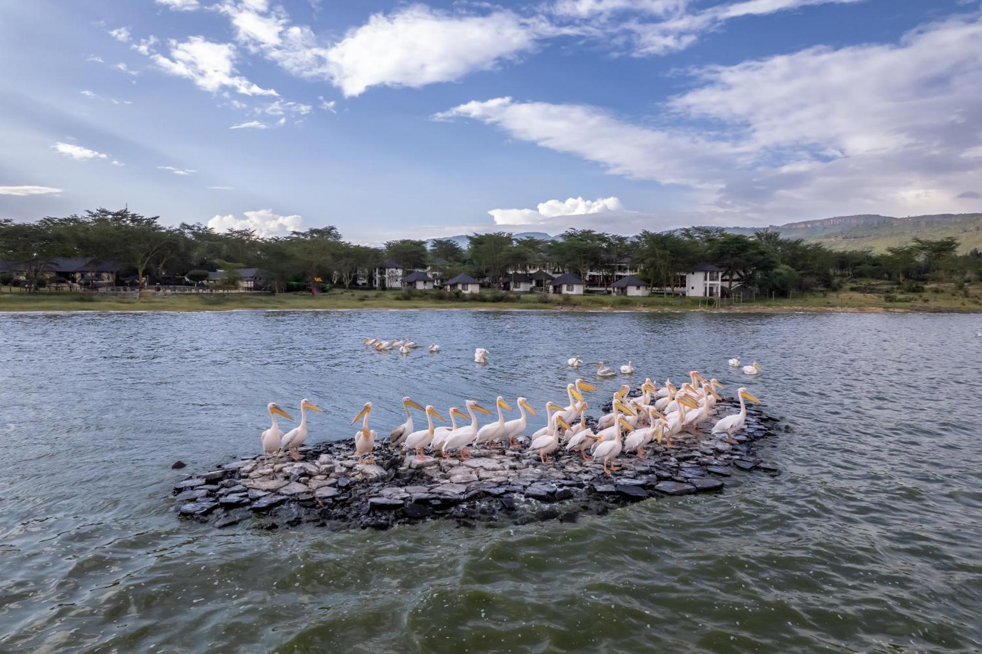 Sentrim Elementaita Lodge Elmenteita 외부 사진